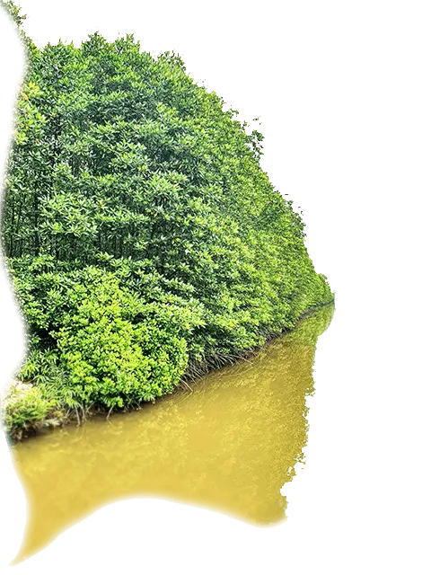 Bannerad shop Ca Mau seafood